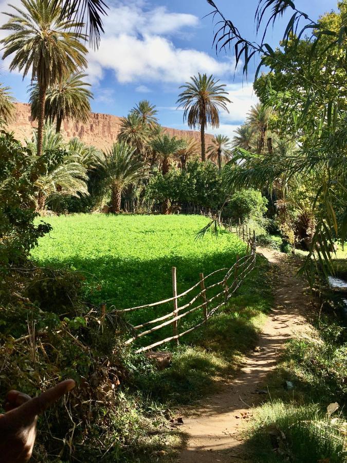 Tinghir La Petite Gorge, Hotel & Restaurant Todra Gorge מראה חיצוני תמונה