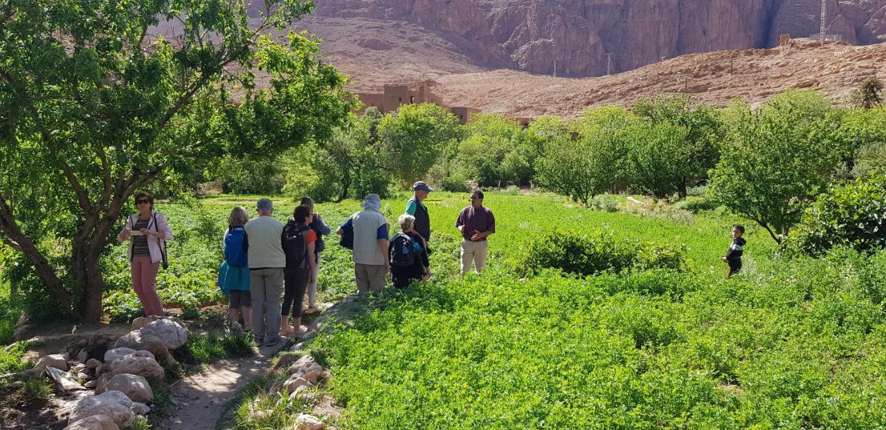 Tinghir La Petite Gorge, Hotel & Restaurant Todra Gorge מראה חיצוני תמונה